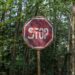 Red and White Stop Road Signage