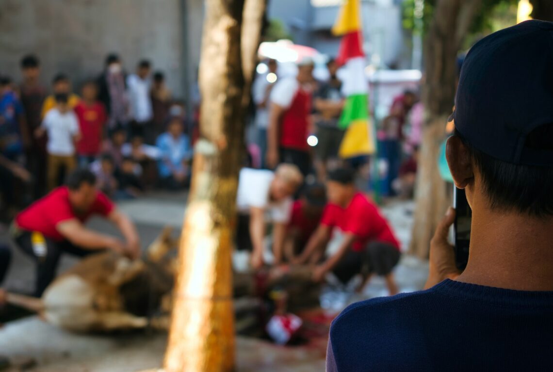 a person looking at a tree