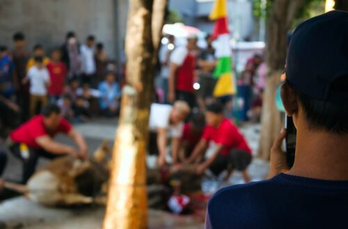 a person looking at a tree