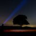 silhouette of trees under starry night