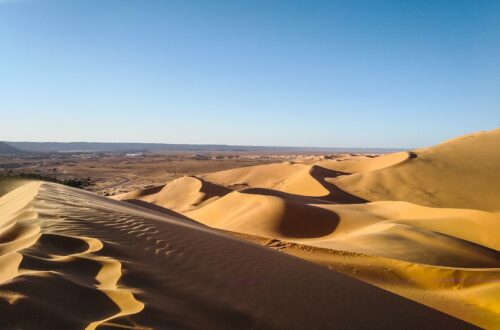 brown sand under blue sky during daytime